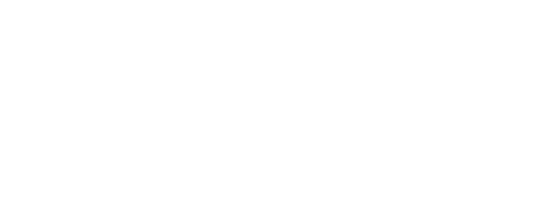 Navix